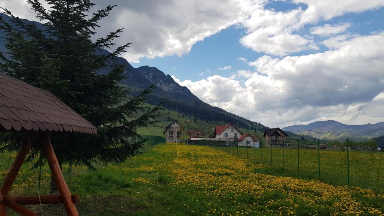 Pensiunea Casa Zarnesteana Zărneşti Eksteriør billede